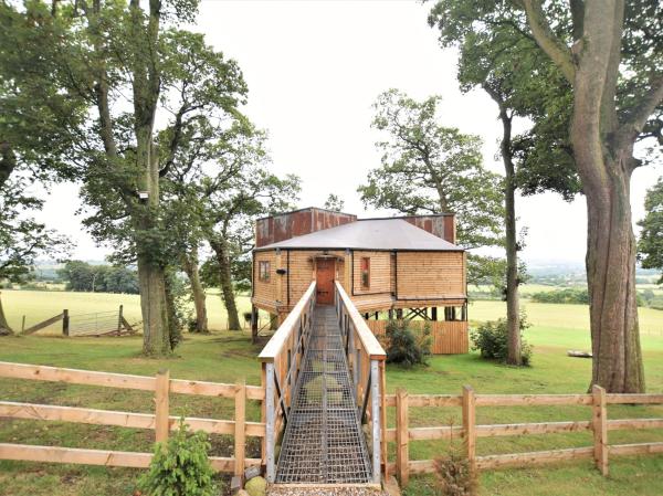 Treehouses